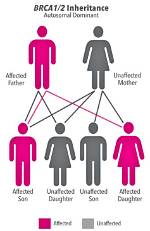 Is Brca Mutation Dominant?