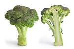 Is Broccoli a Vegetable?