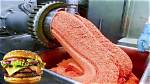 Is Burger Meat Processed