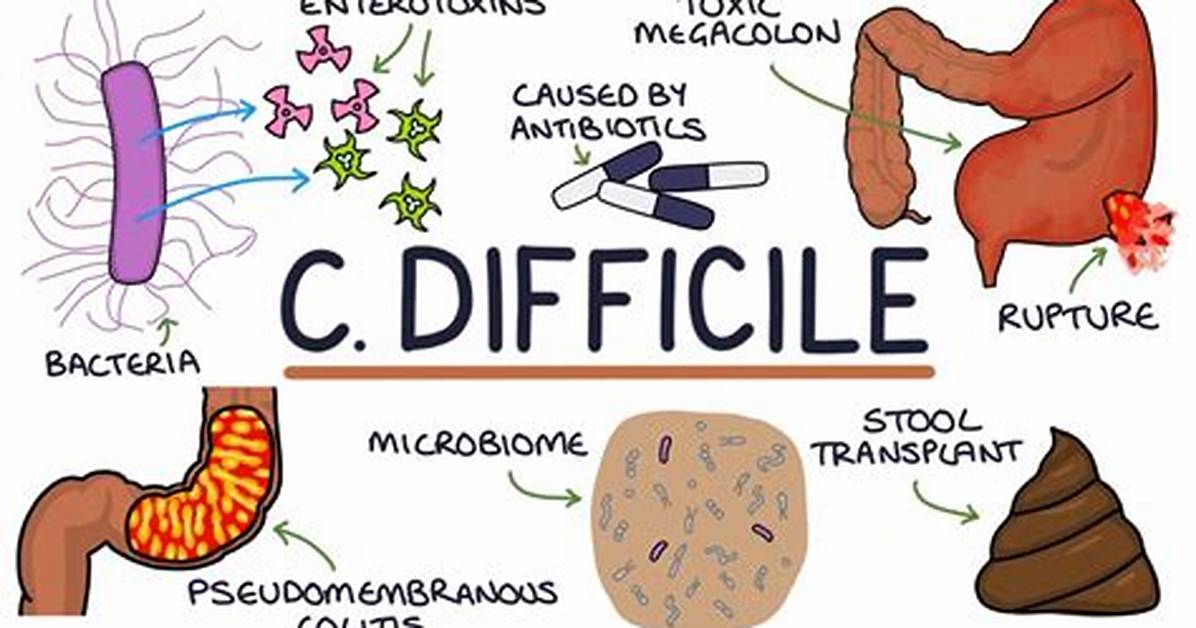 Is C Diff Airborne