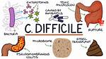Is C Diff Airborne