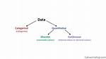 Is Categorical Data Quantitative?