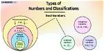 Is Classifying Numbers Important?