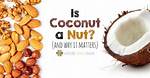 Is Coconut a Nut?