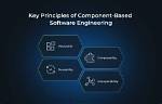 Is Component a Software?