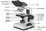 Is Compound Microscope a Light Microscope?