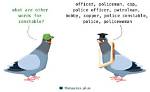 Is Constable a Synonym?