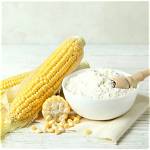 Is Corn a Starch?