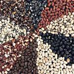 Is Cowpea Same as Beans?