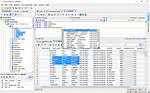 Is Dbvisualizer Pro Free?