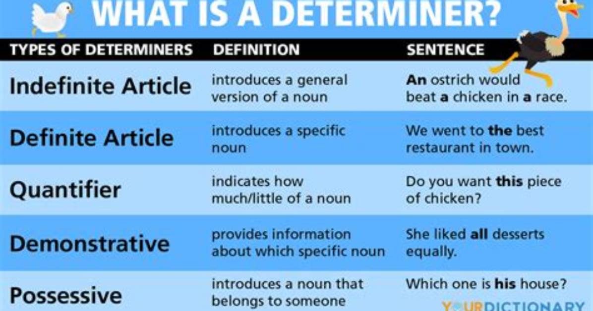 Is Determiner and Article?