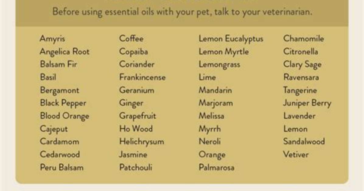 Is Diffusing Essential Oils Safe for Dogs?
