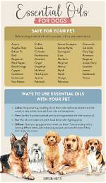 Is Diffusing Essential Oils Safe for Dogs?