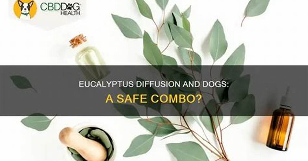 Is Diffusing Eucalyptus Safe for Dogs?