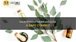 Is Diffusing Eucalyptus Safe for Dogs?