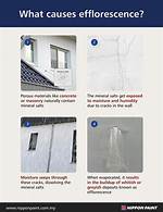 Is Efflorescence Harmful