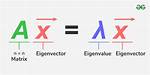 Is Eigenstate an Eigenvector?