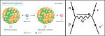 Is Electron Capture Transmutations?