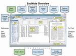 Is Endnote a Database?