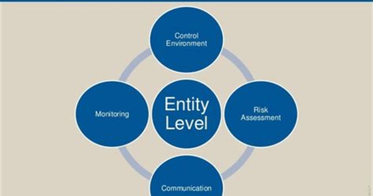 Is Entity Level Controls?