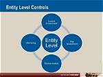 Is Entity Level Controls?