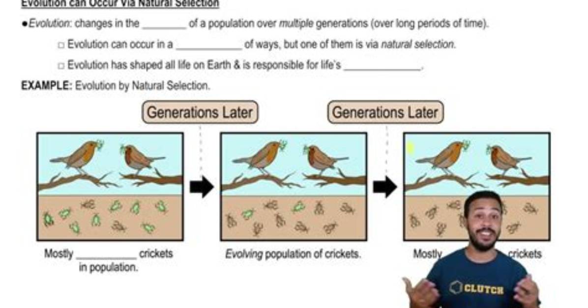 Is Evolution Natural Selection?