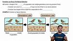 Is Evolution Natural Selection?