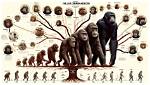 Is Evolution Same as Evolve?