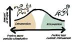Is Extraversion and Introversion Real?