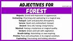 Is Forest an Adjective?