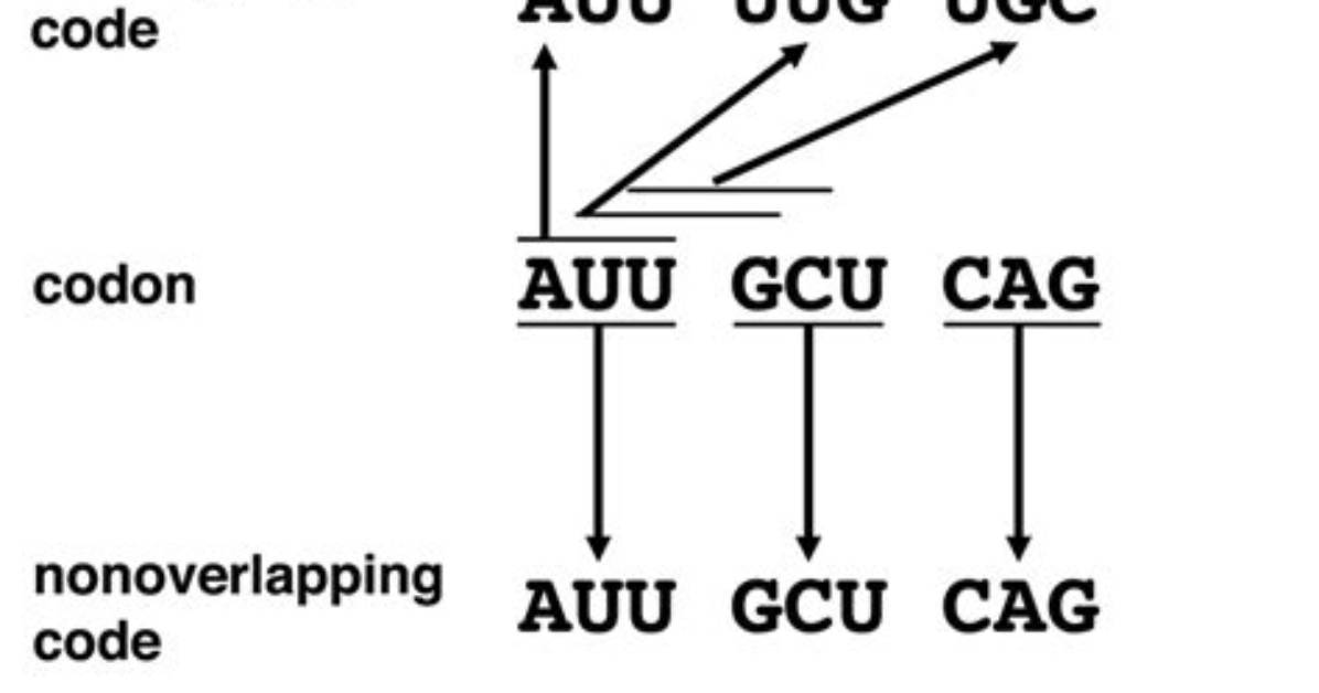 Is Genetic Code Overlapping?