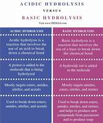Is Hydroxyl Acidic or Basic?