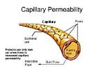 Is Increased Capillary Permeability?