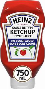 Is Ketchup a Fluid?