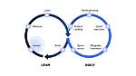 Is Lean Development Agile
