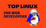 Is Linux Good for Web Development?