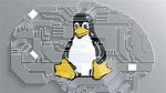Is Linux Important for Machine Learning?