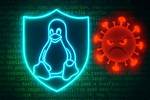 Is Linux Safe from Virus?