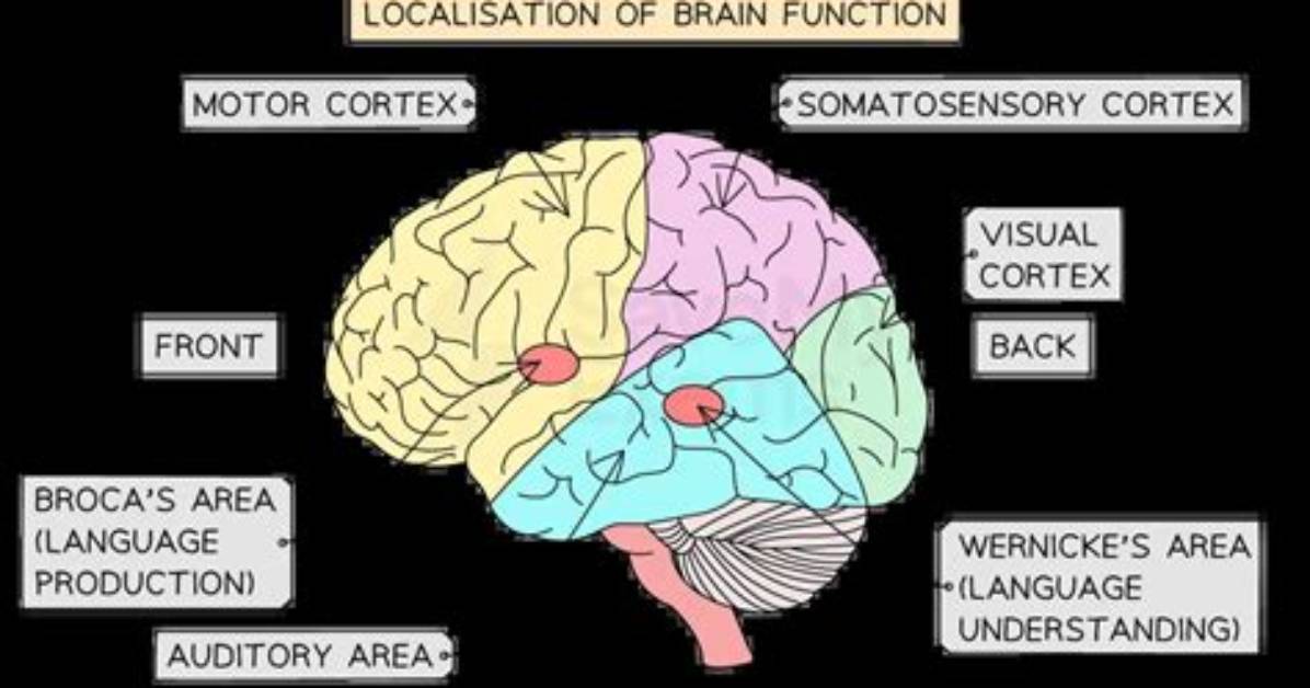 Is Localisation of Function?