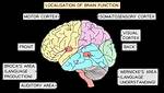 Is Localisation of Function?