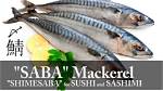 Is Mackerel Same as Saba