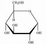 Is Mannose a Polysaccharide?