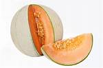 Is Melon a Fruit?
