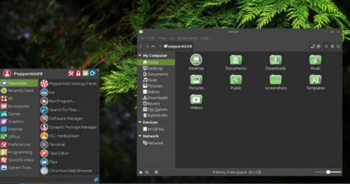 Is Mint Linux Lightweight?
