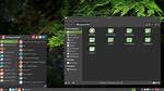 Is Mint Linux Lightweight?