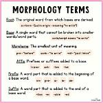 Is Morphography a Word?