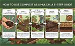 Is Mulch a Compost