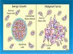 Is Neoplasm Curable