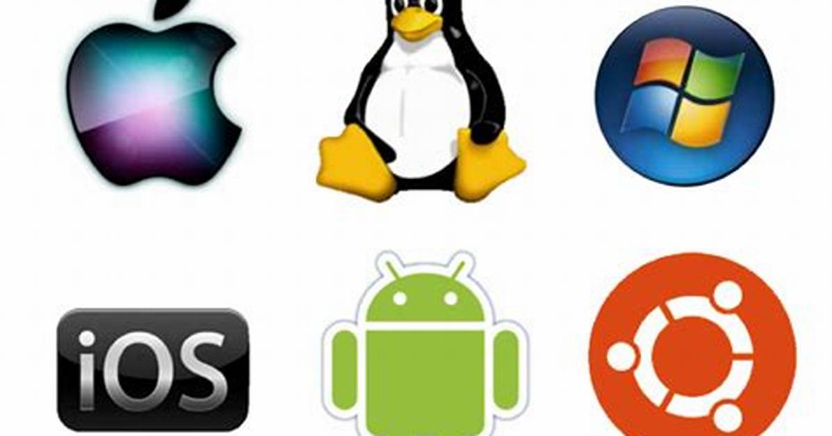 Is Operating System a Software?