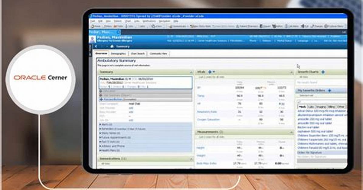 Is Oracle an Application Software?